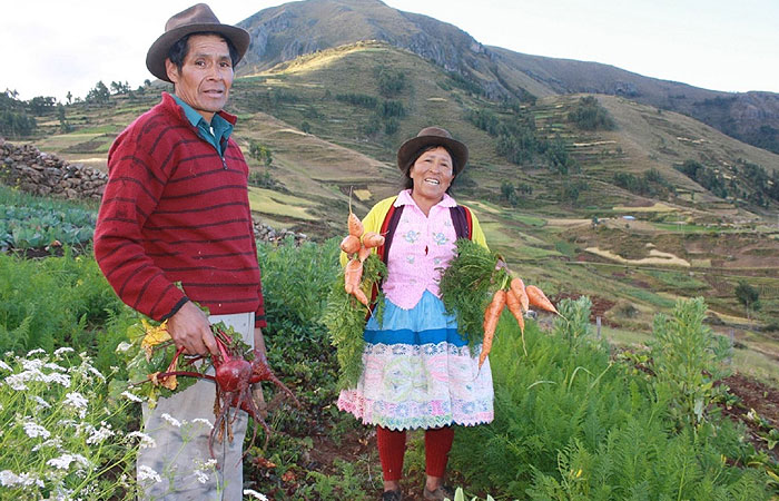 zonas-rurales-tendran-mas-accesos-a-servicios-financieros